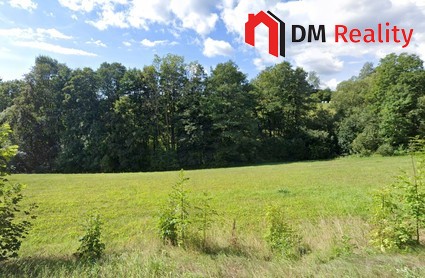 Prodej lesních pozemků 3070 m2 - Fotka 4