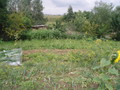 Fotka 6