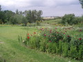 Fotka 5